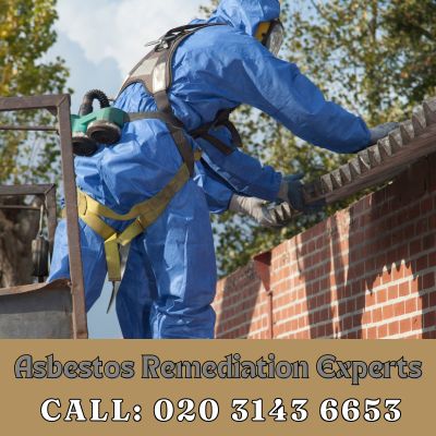 Asbestos Remediation Experts Sidcup