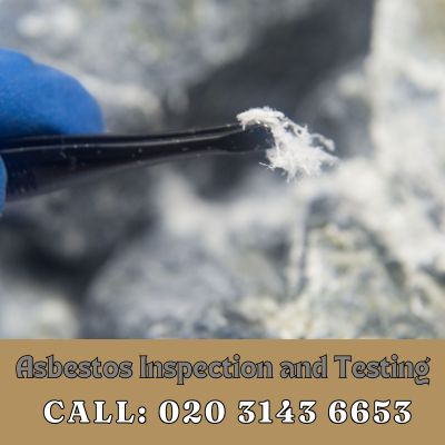 Comprehensive Asbestos Inspection and Testing Services in Sidcup